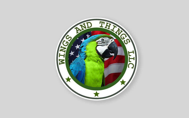 Wings & Things LLC Logo  & Mobile Application Developers US UK